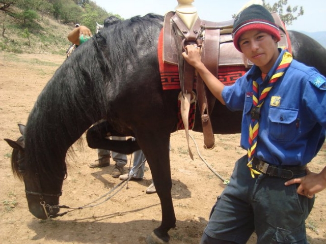  Rotas de cavalos para todos